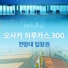 02. 골드박스★선착 오사카 하루카스 300 전망대 티켓 어린이