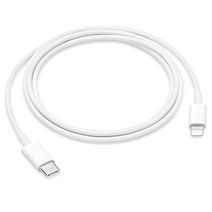 애플 Lightning USB C 1m 케이블