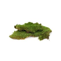 [데팡스] [모스] 천연이끼 프리저브드 시트 모스(300g), 용량:300g / 색상:프레쉬 그린