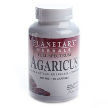 플래너터리허벌스 아가리커스 500mg 캡슐, 90개입, 1개