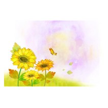 하우디 플라워벽지 F-883