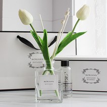 모리앤 튜울립 디퓨저세트 화이트, 화이트 쟈스민 앤 민트