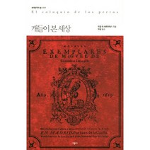 개들이 본 세상, 시공사, 미켈 데 세르반테스 저/박철 역