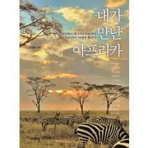 내가 만난 아프리카:에티오피아에서 마다가스카르까지 아프리카 14개국 종단기, 시대의창