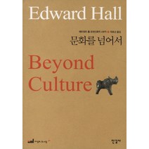 [한길사] 에드워드 홀 문화인류학 4부작. 3: 문화를 넘어 (이상의 도서관 48), 한길사