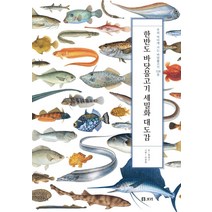 한반도 바닷물고기 세밀화 대도감:우리 바다에 사는 바닷물고기 528종, 보리출판사, 명정구