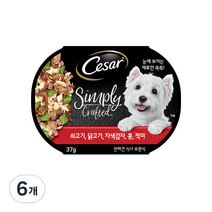 시저 심플리 쇠고기 닭고기 자색감자 강아지습식사료, 쇠고기 닭고기 자색감자 콩 적미, 37g, 6개
