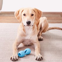 웨스트포우 퀴즐 노즈워크 훈련용 강아지 장난감 L, 아쿠아블루, 1개