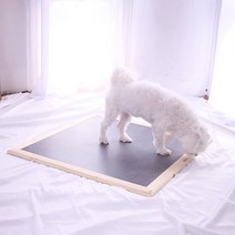 리노에코 프리미엄 대리석 강아지 쿨매트, 애쉬그레이