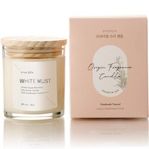 에인디 핸드메이드 소이 심지없는 캔들 워머전용 280g, 화이트머스크 280g