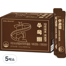 홀리데이즈 쑤욱빼 다이어트 커피맛, 28포, 92.4g, 5개