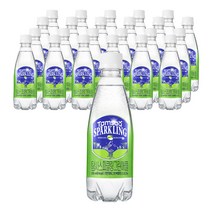 탐사 스파클링 그린애플, 350ml, 24개