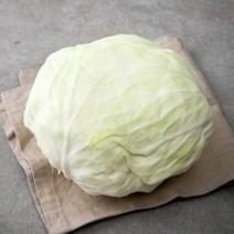 유기농 제주 양배추, 1.2kg, 1개