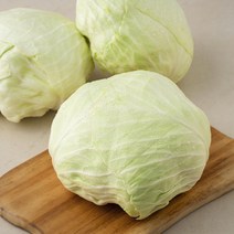 국내산 친환경 양배추, 5kg, 1개