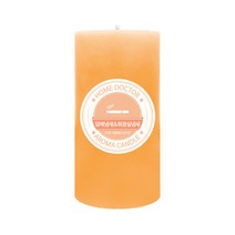 더허브샵 홈닥터 향초, 담배냄새&화장실냄새, 570g, 1개