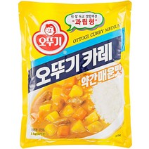 오뚜기 카레 (약간매운맛) 1kg, 1개