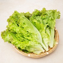 국내산 포기상추, 300g, 1봉