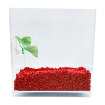 아쿠아테라 뉴탱크 베타어항 + 컬러스톤 500g + 베타침대, 플로워링 레드