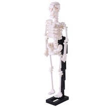카와다 나노블럭, HUMAN SKELETON