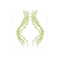 SP-G497 넝쿨, 올리브그린