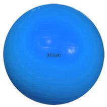 짐닉 바디볼 95B, 블루