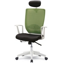 오피언 가정용 의자 DP-H111H1D, 그린