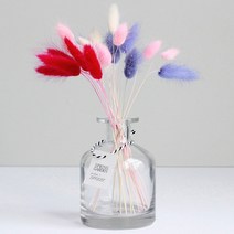 스프링가든 화병 + 라그라스 데코 세트, 혼합 색상