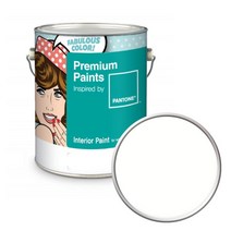 노루페인트 팬톤 내부용 실내 벽면 무광 페인트 4L, 11-0602 Snow White, 1개