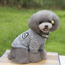 노랜드 반려견 DOG BABY 스웨터, 그레이