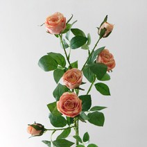 블루밍앤미 뷰티 장미 조화, 피치