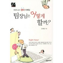 비즈니스 영어 이메일 팀장님은 어떻게 할까:비즈니스 영어 이메일, 세창출판사