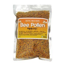 백장생 벌 화분, 500g, 1개