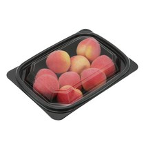 도나앤데코 1칸 미니사각 블랙 일회용도시락 용기 10p + 뚜껑 10p, 1세트, 10개