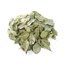 갑당약초 구아바잎, 100g, 1개