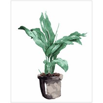 아이러브페인팅 보태니컬 DIY 명화그리기 40 x 50 cm, 시클란토