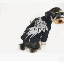 Noland BAD DOG 천사 스웨터 반려견 옷, 혼합 색상