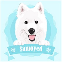아이러브페인팅 DIY 명화그리기, 해피 사모예드, 1개