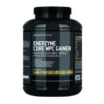 헬스빌 에너자임 코어 WPC게이너 헬스보충식품, 4kg, 1개