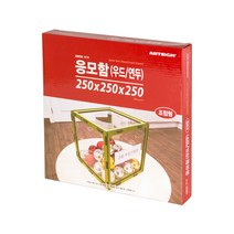 아트사인 응모함 우드 연두, 1세트