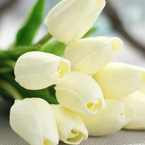 블럭마트 튤립 조화 6p, type11