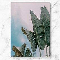 RYMD 인테리어 바나나 리프 수지 액자, 화이트