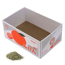 온빛펫 캣 박스 스크래쳐 평판형 + 캣닢 2g, 귤, 1세트