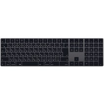 Apple 정품 매직 키보드 WITH NUMERIC KEYPAD, 스페이스그레이, 일본어, 일반형