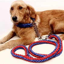 제제펫 대형견 로프 목줄 리드줄세트 M, 레드블루, 1세트