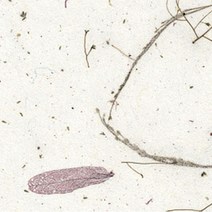 한지로 A4 OA 꽃보라 한지 210 x 297 mm 15p, 17 흰자주, 10개입