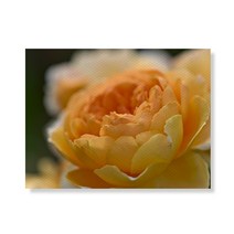 리틀하이커 flower 캔버스액자A3W35 177