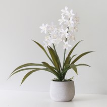 블루밍앤미 조화 신비디움 그레이 포트 꽃화분, 화이트, 1개