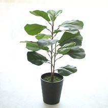 모리앤 진짜같은 떡갈고무 나무화분 조화 50cm, 혼합 색상, 1개