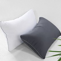 달잠 빨아쓰는 알러지케어 마이크로화이바 베개솜 + 베개커버, 커버(차콜), 솜(화이트)