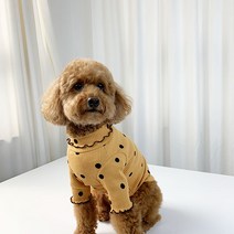 유앤펫 강아지 골지 땡땡이 티셔츠, 머스타드